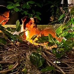 Ein besonderer Gast sitzt am Tisch.