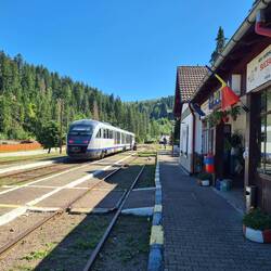 In Putna ist der Bahnhof etwas kleiner.