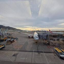 Sooooo many planes, 500 loading gates 😳