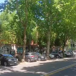 Die Grillen zirpen lauter als der Verkehr