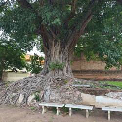 Wat Puen.
