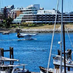 Fun to watch the harbor activities as we ate lunch.