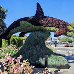 Appropriate topiary! Notice the grass forming the spout!