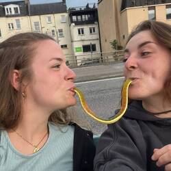 Susi und Strolch Romantik