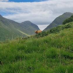 Endlich eine von bisschen näher gesehen