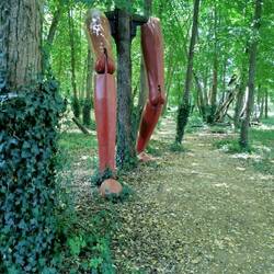 Im Wald befinden sich 15 "Riesenbeine"