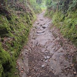 Still got gnarly paths to walk but so pretty