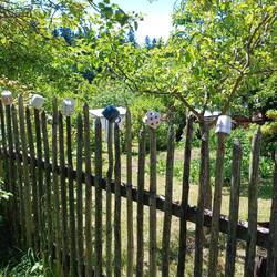 der coole Gartenzaun, geschmückt mit Tassen