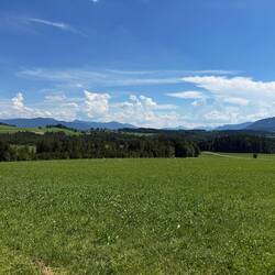Adios Alpenland. Wir haben auch echt genug von den Bergen in den letzten 10 Tagen gesehen 😄.