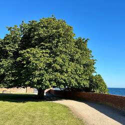 Blick auf die Flensburger Förde von der dänischen Seite.