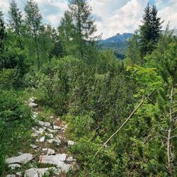 ... zur Berghütte Dom na Komni.