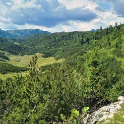 Durch üppiges Grün...