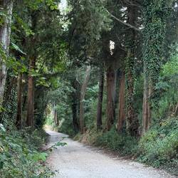 The start of the trail up to the hermitage in the mountains.