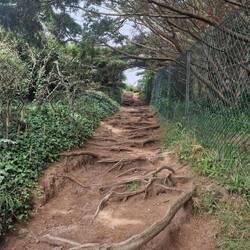 ...verwunschener Wanderweg