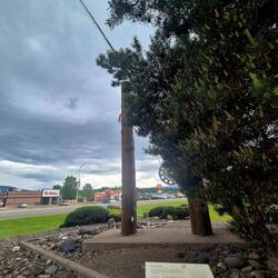 Longest fishing rod...