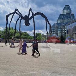 Spider sculpture supposedly representing mothers ..zoom in there are eggs in the body ..all wierd !