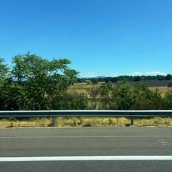 Trying to take a photo of the lavender fields.