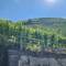The vineyards on the hills were incredible.  It is hard to capture how steep the slope is.