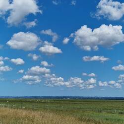 Schafe 🐑 und Schäfchenwolken ☁️