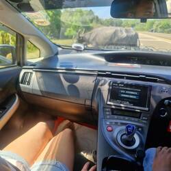 Trying to capture yoked together, Buffalo, as they cross the road, they have the right of way.