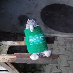 Vorbereitung für die Alpen