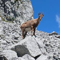 Bitte einfach weiter gehen, du stehst auf meinem Weg!