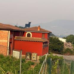 We never did find out the story behind this giant bull billboard between Logroño and Navarette.