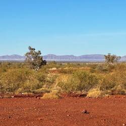 Herbert range