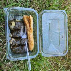 Sarmale und Fisch aus dem Lunchpaket