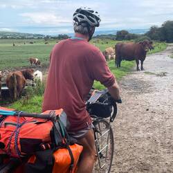 A traffic jam in Wales