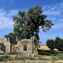 Mijn lyrische kant is weer wakker. De schoonheid van vergankelijkheid.