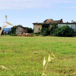 De vergankelijkheid. De natuur neemt terug over.