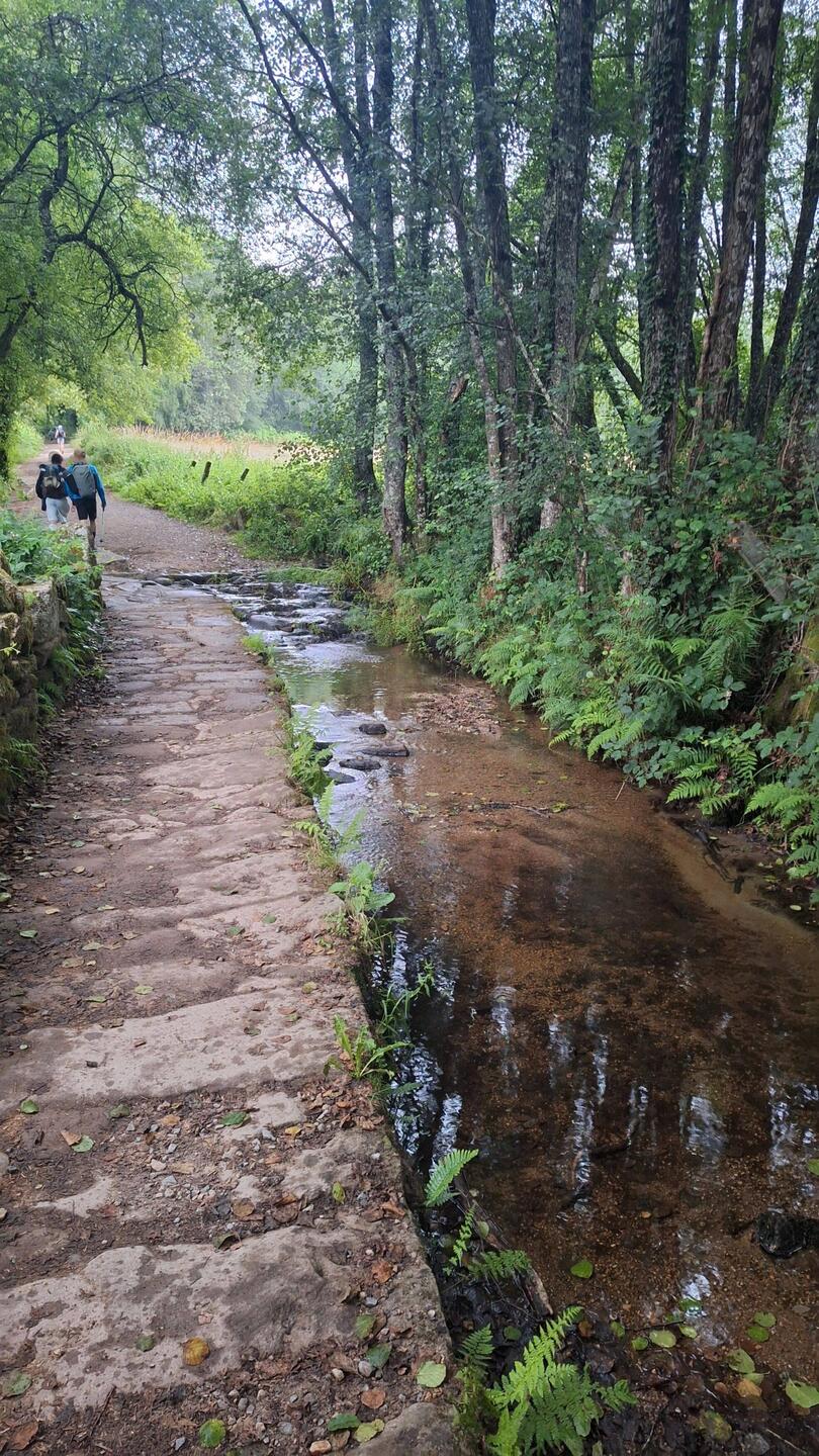 Love walking beside water