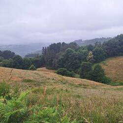 Typical Galician countryside