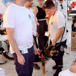 K9 rescue dog, there were a few but only this one stayed still long enough to pose 🤪