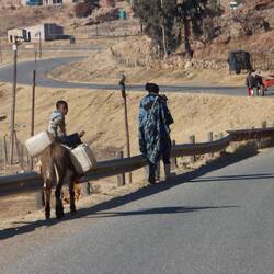 ...und Esel gesetzt, Fahrzeuge gibt es seltener