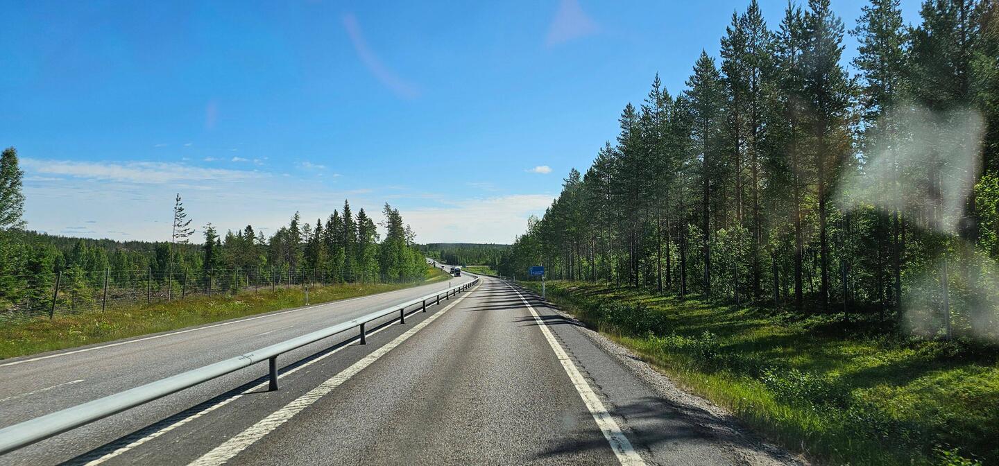 Weiter durch Wälder...