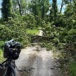 Das letzte Hindernis.