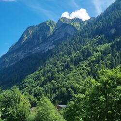 So ganz langsam zieht es zu