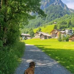 Schattenwege