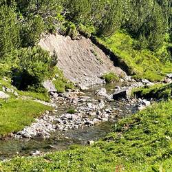 Etwas später sehe ich ihn 😉