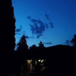 Ein Fisch aus Wolken 😉