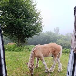 Der hat's dann auch nochmal an der Fußmatte probiert. Die muss unfassbar lecker sein. 🙈