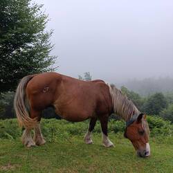 E.T. war auch dabei 😂