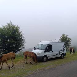 Und während ich auf dieser Seite von Kurt 🦙 Fotos gemacht habe,..