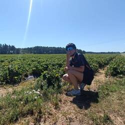 Was für ein Erdbeerfeld: gemessene Länge 950m & so lecker 😋🍓