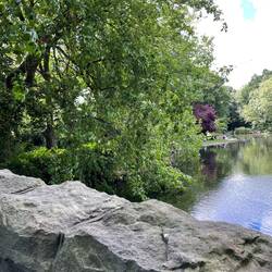 Nice park no1