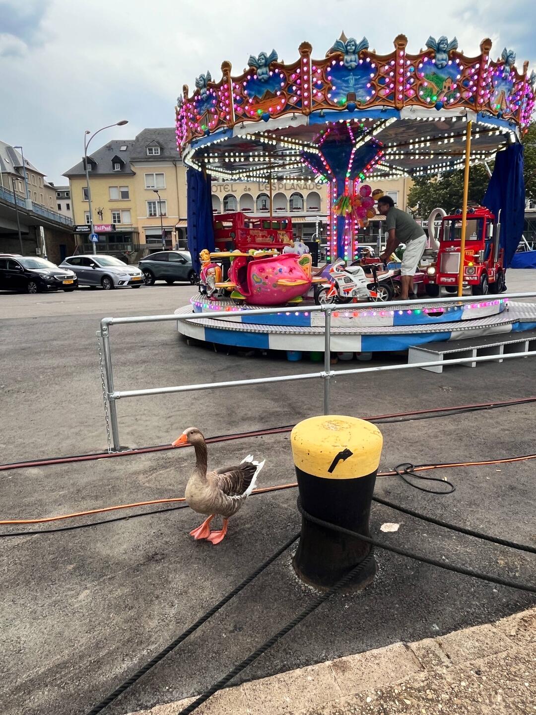 Stadtanleger Remich, unser Nachtquartier heute