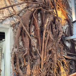 Hong Sieng Kong at Talat Noi.