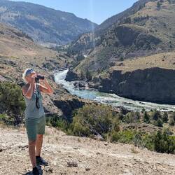 Was sieht das Elbenauge?
